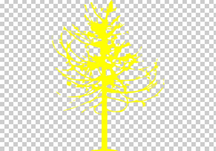 Twig Christmas Tree Plant Stem Pine PNG, Clipart, Branch, Christmas, Christmas Tree, Conifer, Family Free PNG Download