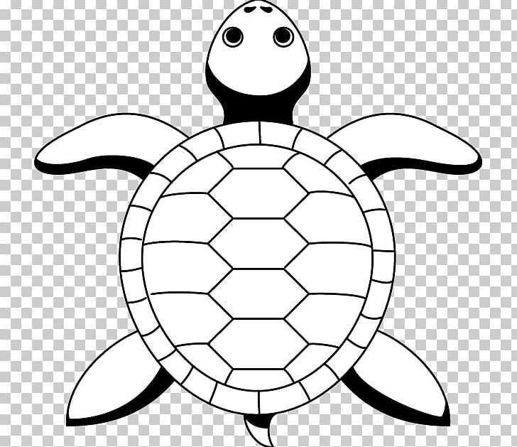 Sea Turtle Tortoise Line Art Drawing PNG, Clipart, Animals, Area, Art, Artwork, Ball Free PNG Download