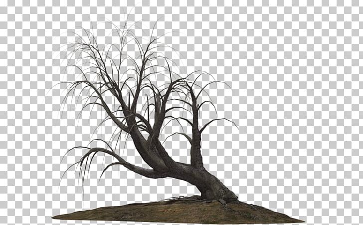 Tree Drawing PNG, Clipart, Black And White, Branch, Creepy Tree, Desktop Wallpaper, Deviantart Free PNG Download