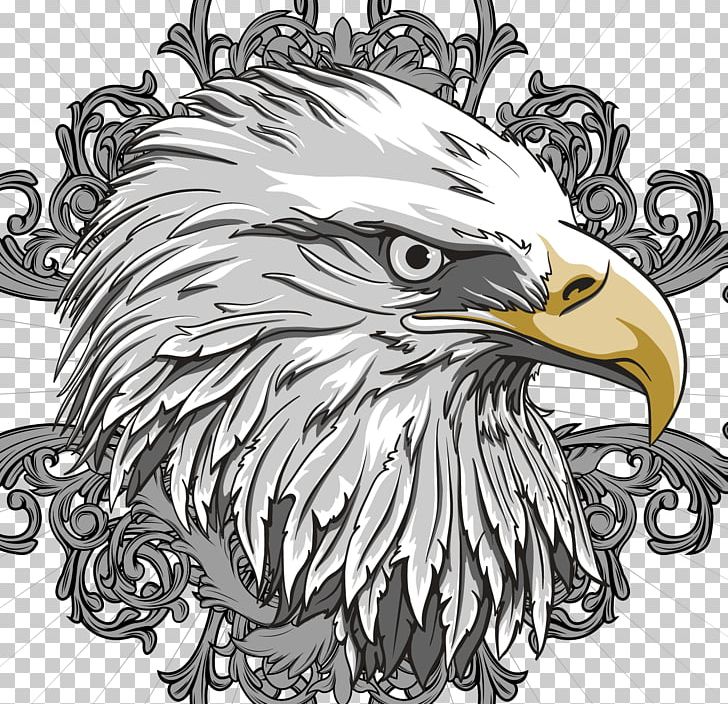 Bald Eagle Flag Of The United States PNG, Clipart, Animals, Beak, Bird, Bird Of Prey, Black And White Free PNG Download