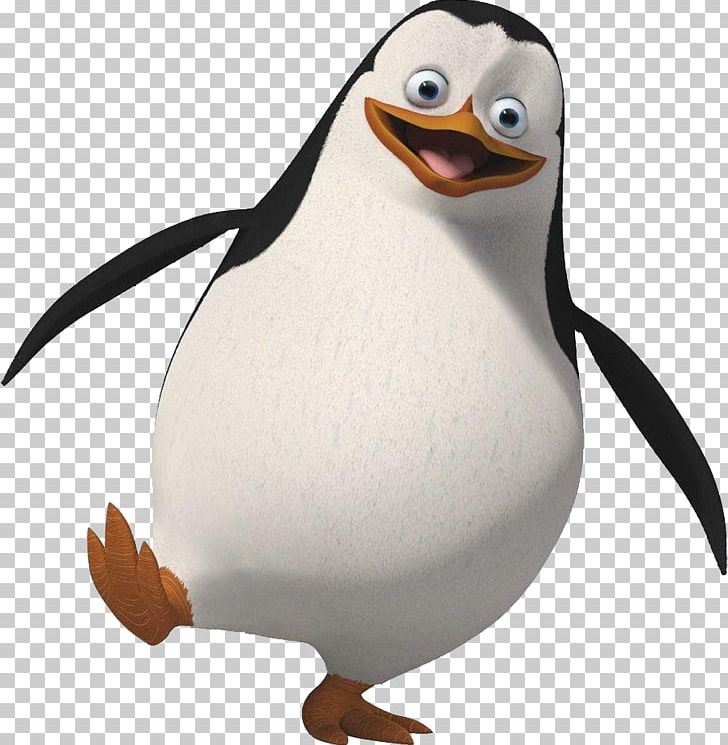 Penguin Madagascar Animation PNG, Clipart, Animation, Beak, Bird, Clip, Computer Icons Free PNG Download