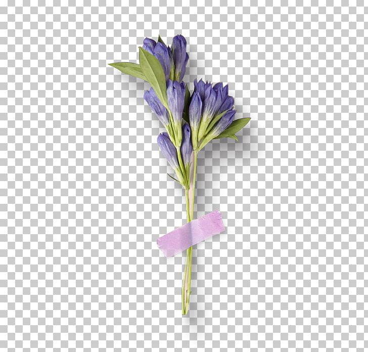 Cut Flowers Purple Flower Bouquet PNG, Clipart, Artificial Flower, Bouquet, Color, Floral Design, Floristry Free PNG Download