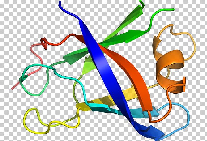 Line PNG, Clipart, Area, Art, Ferredoxin, Line, Organism Free PNG Download