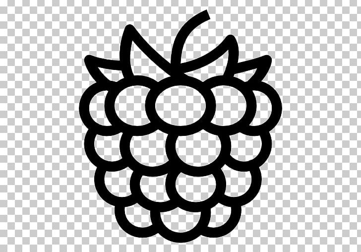 Red Raspberry Computer Icons PNG, Clipart, Berry, Black And White, Circle, Computer Font, Computer Icons Free PNG Download