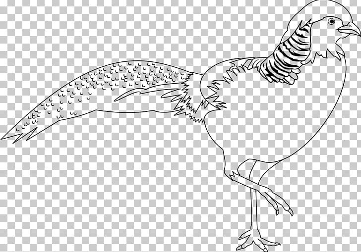 Rooster Golden Pheasant Bird PNG, Clipart, Animal Figure, Artwork, Beak, Bird, Black And White Free PNG Download