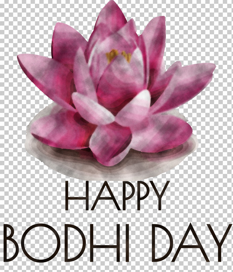 Bodhi Day Buddhist Holiday Bodhi PNG, Clipart, Biology, Bodhi, Bodhi Day, Cut Flowers, Flower Free PNG Download