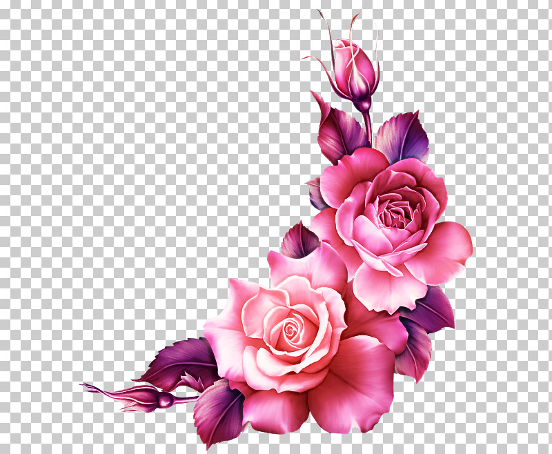 Garden Roses PNG, Clipart, Artificial Flower, Bouquet, Cut Flowers, Floral Design, Floristry Free PNG Download