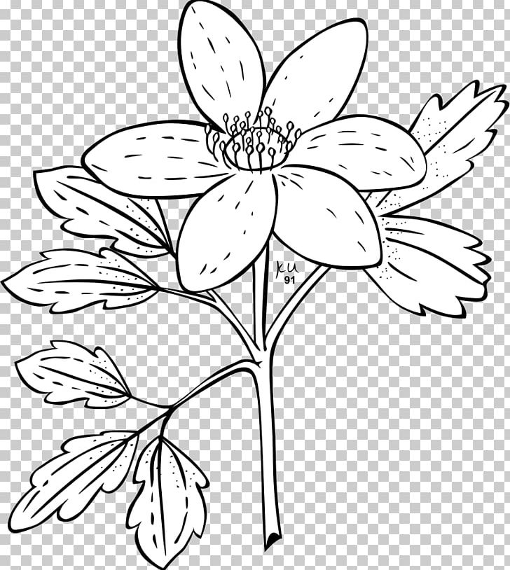 Anemone Canadensis Anemone Nemorosa Japanese Anemone Coloring Book PNG, Clipart, Anemone Nemorosa, Are, Branch, Clownfish, Color Free PNG Download