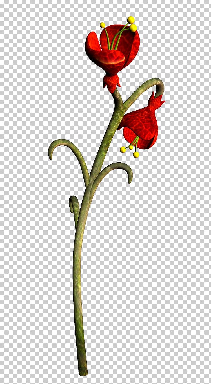 Floral Design Cut Flowers Rosaceae PNG, Clipart, Art, Cut Flowers, Element, Fairies, Fairy Free PNG Download