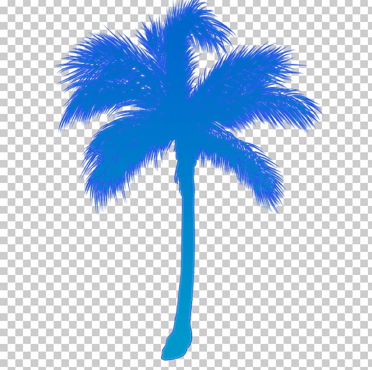 Sticker Arecaceae Surf Beach Decal PNG, Clipart, Arecaceae, Arecales, Beach, Decal, Flowering Plant Free PNG Download