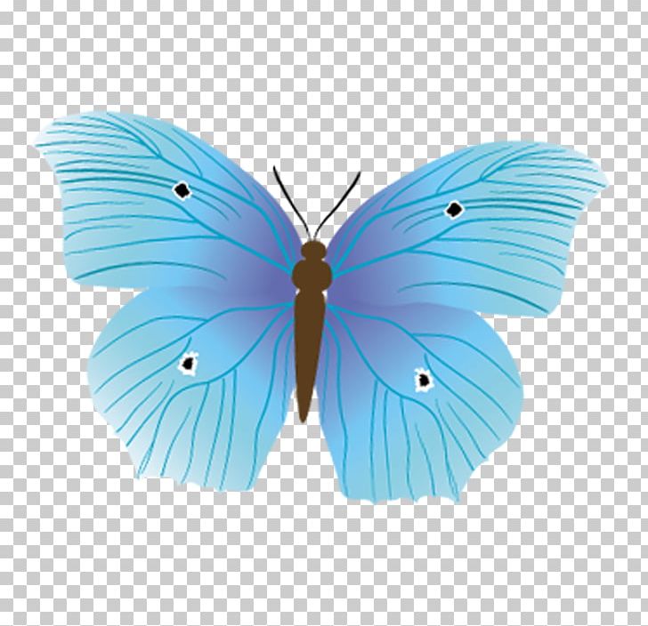 Butterfly Diagram Nymphalidae Insect PNG, Clipart, Aqua, Azure, Blue, Blue Abstract, Blue Abstracts Free PNG Download