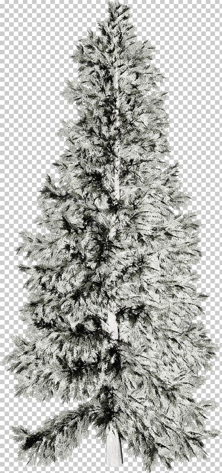 Winter Monochrome Christmas Decoration PNG, Clipart, Black And White, Christmas Decoration, Christmas Ornament, Christmas Tree, Computer Icons Free PNG Download