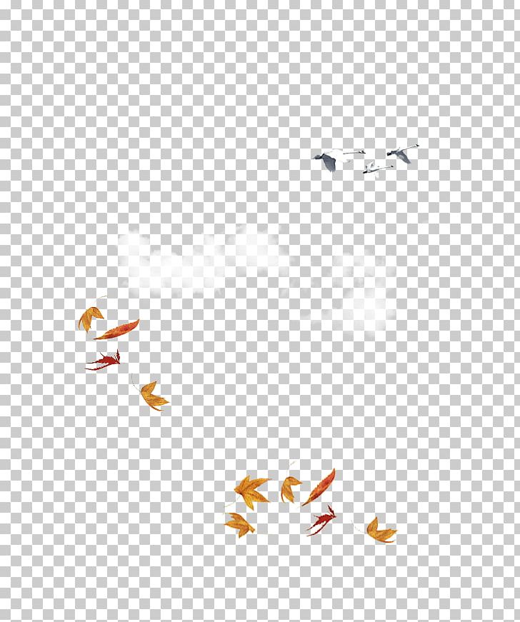Bird Red Maple Leaf PNG, Clipart, Angle, Area, Autumn, Beak, Bird Free PNG Download