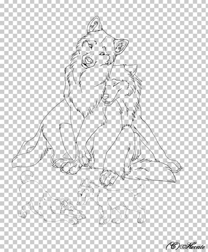 Carnivora Gray Wolf Line Art Sketch PNG, Clipart, Art, Artist, Artwork, Black And White, Border Collie Free PNG Download