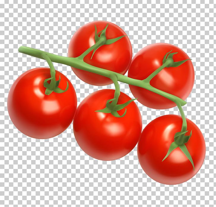 Cherry Tomato Tomato Juice Vegetable PNG, Clipart, Bush Tomato, Cherry, Computer Icons, Desktop Wallpaper, Diet Food Free PNG Download