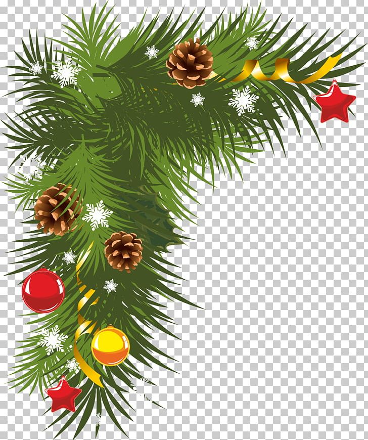Christmas Pine Branch PNG, Clipart, Branch, Christmas, Christmas Decoration, Christmas Ornament, Christmas Tree Free PNG Download