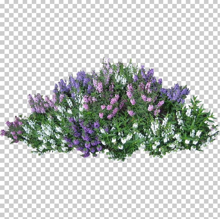 Bushes PNG, Clipart, Bushes Free PNG Download
