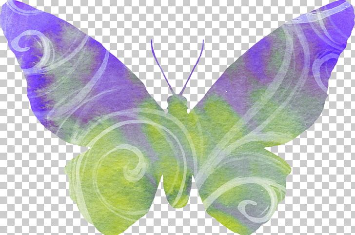 Butterfly Desktop PNG, Clipart, Butterfly, Desktop Wallpaper, Digital Image, Insect, Insects Free PNG Download