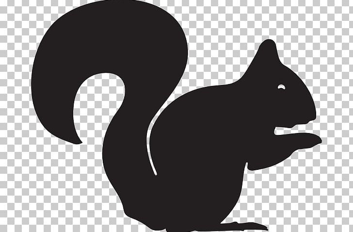 Squirrel PNG, Clipart, Animals, Art, Black, Black And White, Black Cat Free PNG Download