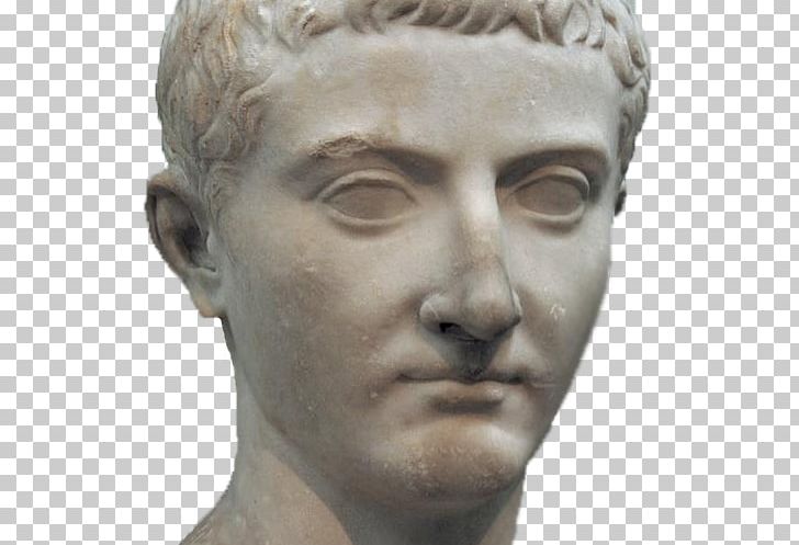 Tiberius Gracchus Ancient Rome Gracchi Roman Republic Gaius Gracchus PNG, Clipart, Ancient History, Ancient Rome, Augustus, Caligula, Chin Free PNG Download