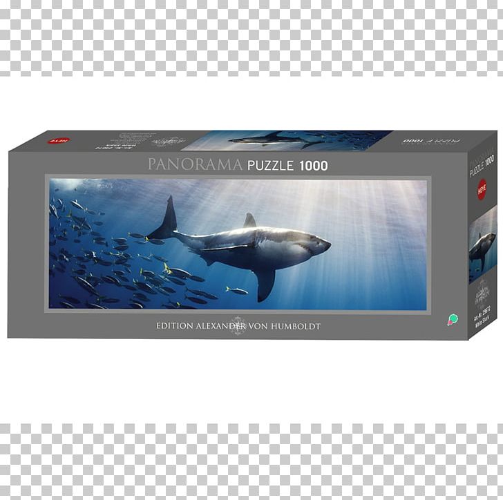 Jigsaw Puzzles Great White Shark Humboldt University Of Berlin PNG, Clipart, Animals, Brand, Display Device, Electronics, Game Free PNG Download
