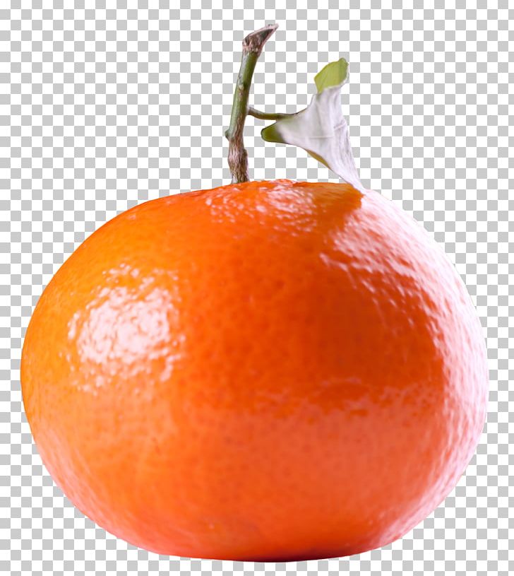 Tangerine Orange Tangelo Fruit PNG, Clipart, Bitter Orange, Citric Acid, Citrus, Citrus Fruit, Clementine Free PNG Download