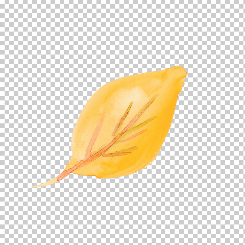 Orange PNG, Clipart, Anthurium, Feather, Flower, Herbaceous Plant, Leaf Free PNG Download