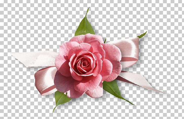 Bible Garden Roses PNG, Clipart, Adobe Systems, Artificial Flower, Bible, Christianity, Cut Flowers Free PNG Download