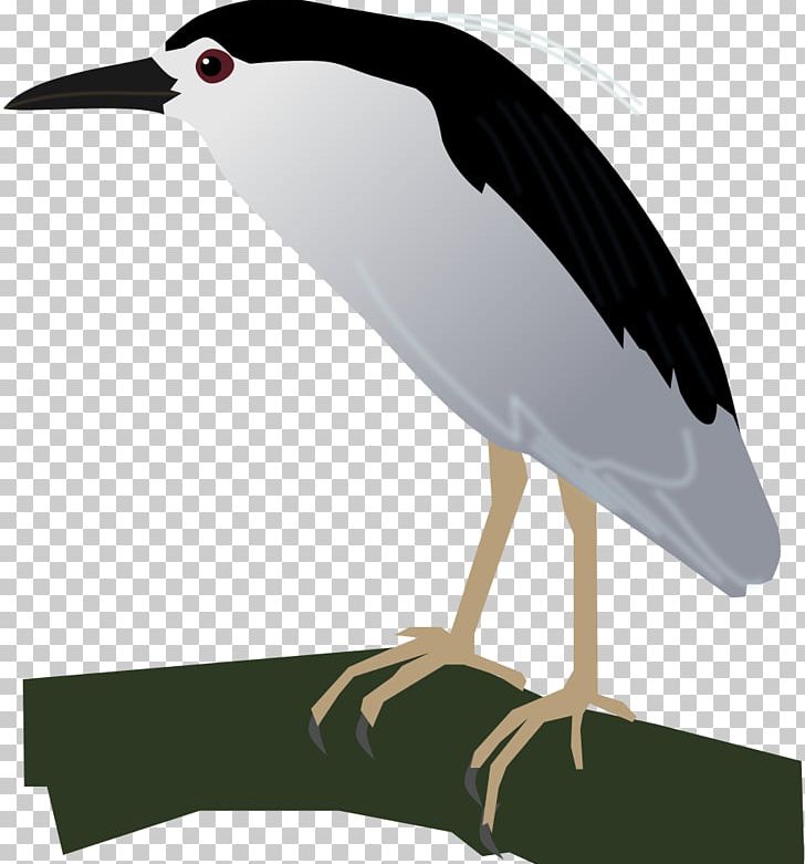 Black-crowned Night Heron Crane Bird Stork PNG, Clipart, Beak, Bird, Blackcrowned Night Heron, Black Night, Ciconiiformes Free PNG Download
