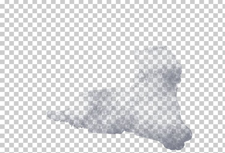 Dog Breed Snout White PNG, Clipart, Animals, Black And White, Breed, Carnivoran, Dog Free PNG Download