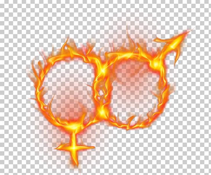 Fire Flame PNG, Clipart, Android, Bolide, Computer Icons, Computer Wallpaper, Diamant Koninkrijk Koninkrijk Free PNG Download