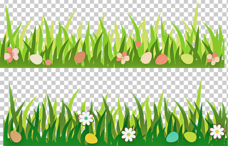 Grass Green Plant Grass Family Lawn PNG, Clipart, Flower, Grass, Grass Family, Green, Lawn Free PNG Download