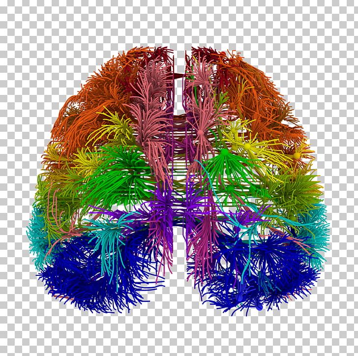 Blue Brain Project Wiring Diagram Connectome PNG, Clipart, 3 D, Allen Institute For Brain Science, Blue Brain Project, Brain, Brain Mapping Free PNG Download