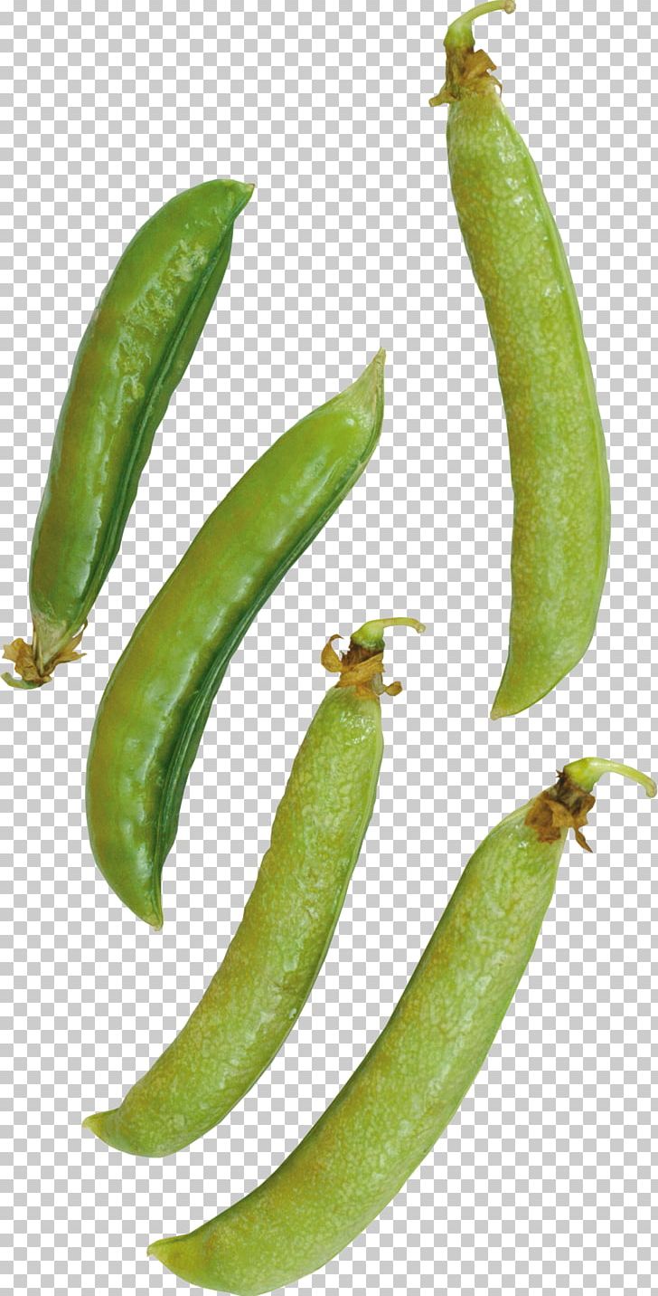 Common Bean Snap Pea Green Bean PNG, Clipart, Bean, Common Bean, Computer Icons, Cucumber Gourd And Melon Family, Food Free PNG Download