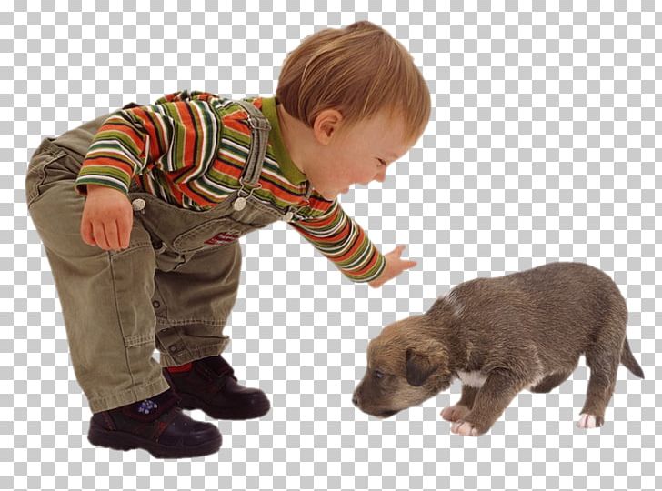 Puppy Dog Kitten Toddler Child PNG, Clipart, Animals, Asilo Nido, Boy, Canidae, Carnivoran Free PNG Download