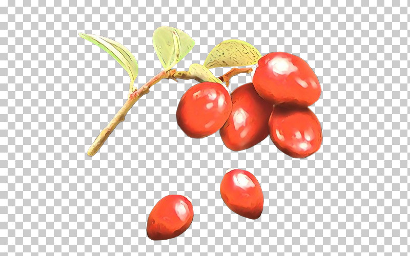 Fruit Food Plant Natural Foods Superfruit PNG, Clipart, Flower, Food, Fruit, Lingonberry, Natural Foods Free PNG Download