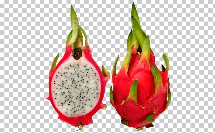 Juice Pitaya Fruit Exotique Hylocereus Undatus PNG, Clipart, Auglis, Bell Peppers And Chili Peppers, Cactaceae, Cayenne Pepper, Chili Pepper Free PNG Download