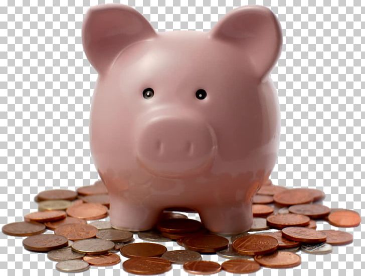 Piggy Bank PNG, Clipart, Piggy Bank Free PNG Download