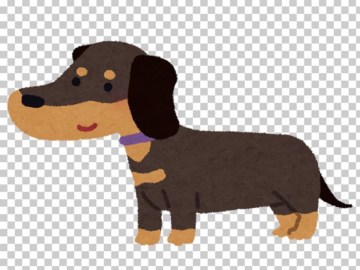 Dachshund Dog Breed Puppy Cat Black & Gold PNG, Clipart, Animal, Animal Figure, Black Gold, Blog, Breed Free PNG Download