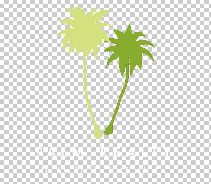 Tad Thormodsgaard PNG, Clipart, Arecaceae, Arecales, California, Estate Agent, Flower Free PNG Download