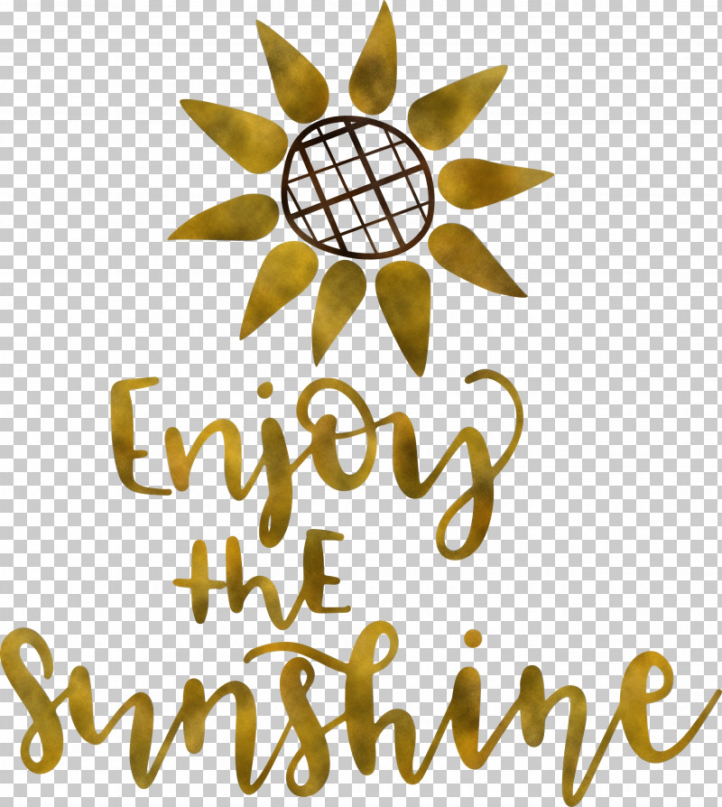 Sunshine Enjoy The Sunshine PNG, Clipart, Flower, Fruit, Logo, Meter, Sunshine Free PNG Download