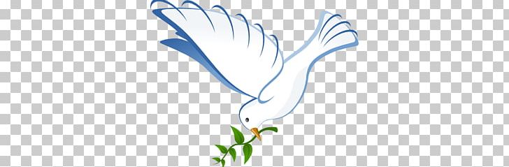 Columbidae PNG, Clipart, Area, Beak, Bird, Columbidae, Dove Cliparts Free PNG Download