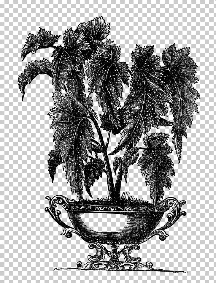 Flowerpot Gardening Urn Vase PNG, Clipart, Back Garden, Begonia, Black And White, Bonsai, Drawing Free PNG Download