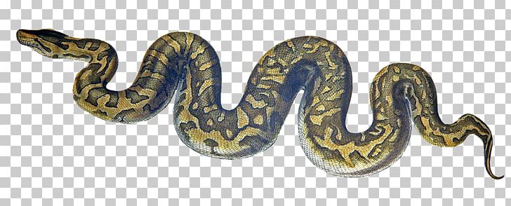Snakes Python Donetsk Botanical Garden Of The National Academy Of Sciences Of Ukraine Art Exhibition Nothing Ventured Games PNG, Clipart, 2018, Adam Eve, Animal Figure, Art, Art Exhibition Free PNG Download