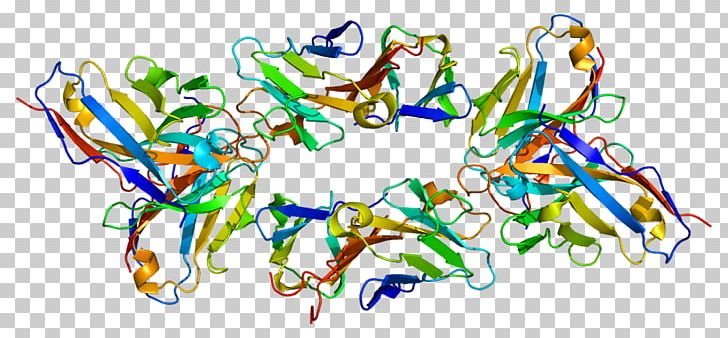 T-cell Surface Glycoprotein CD3 Epsilon Chain T Cell CD3D PNG, Clipart, Antigen, Area, Art, Artwork, Cd3 Free PNG Download