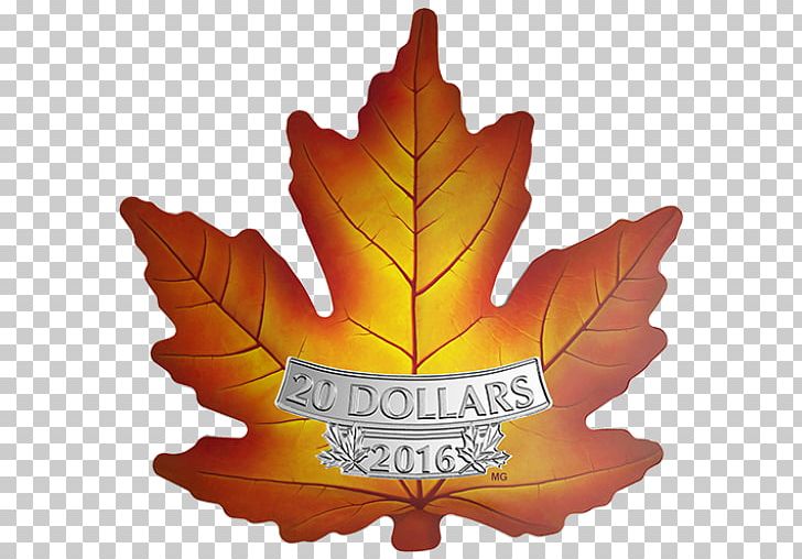 Canada Canadian Gold Maple Leaf Royal Canadian Mint Coin PNG, Clipart, Bullion, Bullion Coin, Canada, Canadian, Canadian Gold Maple Leaf Free PNG Download