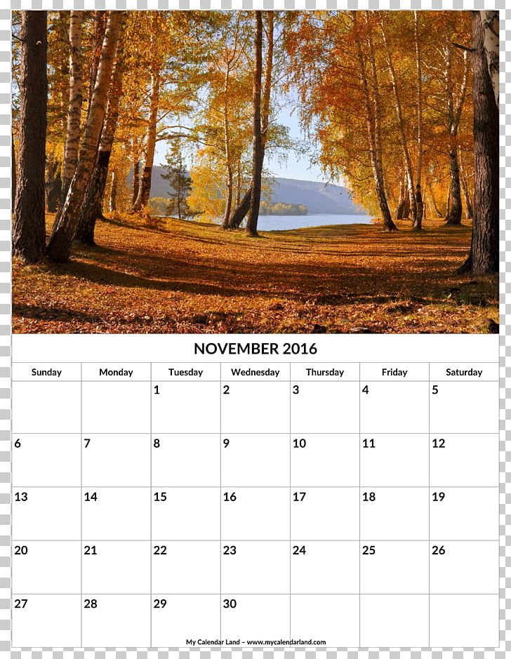 Forest Autumn Tree Desktop PNG, Clipart, Autumn, Autumn Leaf Color, Calendar, Deciduous, Desktop Wallpaper Free PNG Download
