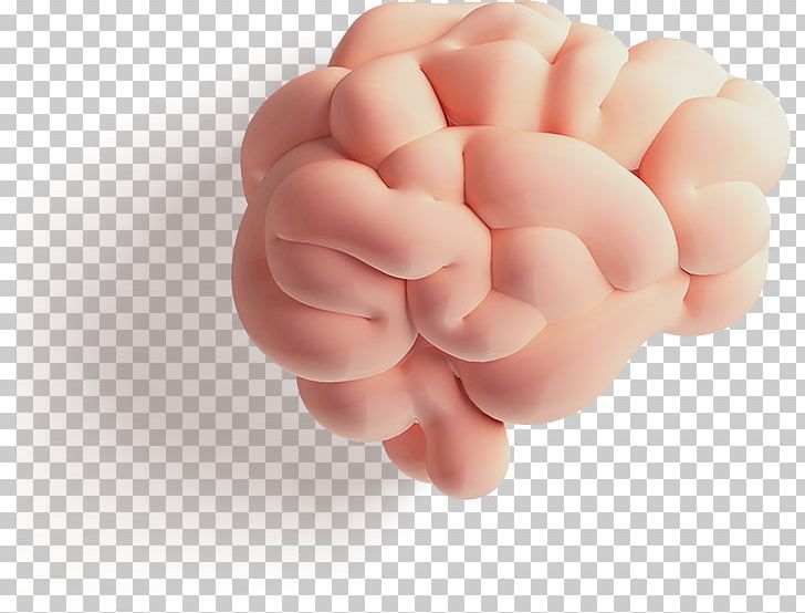 Brain Arithmetic Cerebrum Cerebral Hemisphere Counting PNG, Clipart, Alertness, Arithmetic, Attention, Brain, Brain  Free PNG Download