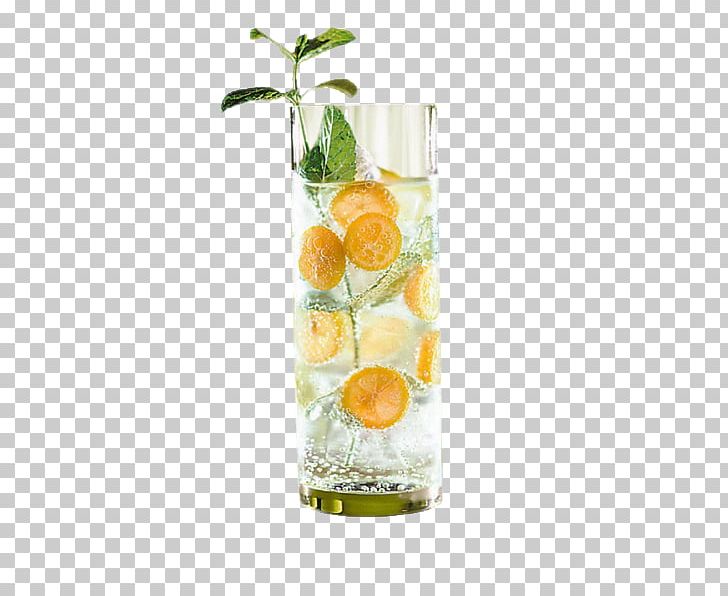 Cocktail Caipirinha Gin Fizz Spritzer PNG, Clipart, Alcoholic Drink, Caipirinha, Citric Acid, Citrus, Cocktail Free PNG Download