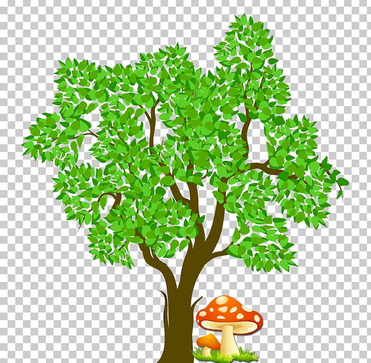 Tree Chart PNG, Clipart, Branch, Cartoon, Christmas Tree, Coconut Tree, Euclidean Vector Free PNG Download